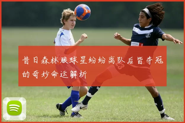 昔日森林狼球星纷纷离队后皆夺冠的奇妙命运解析
